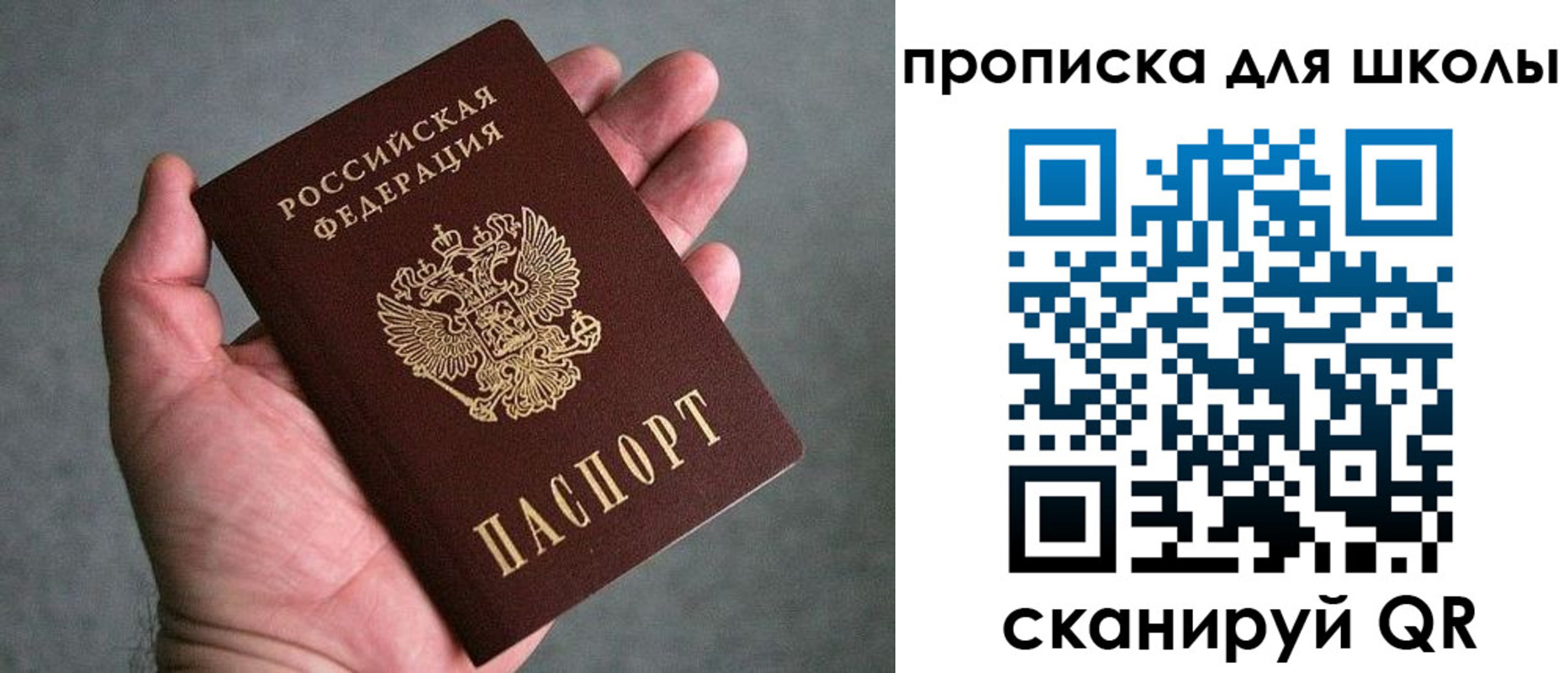 прописка для школы в Полярном